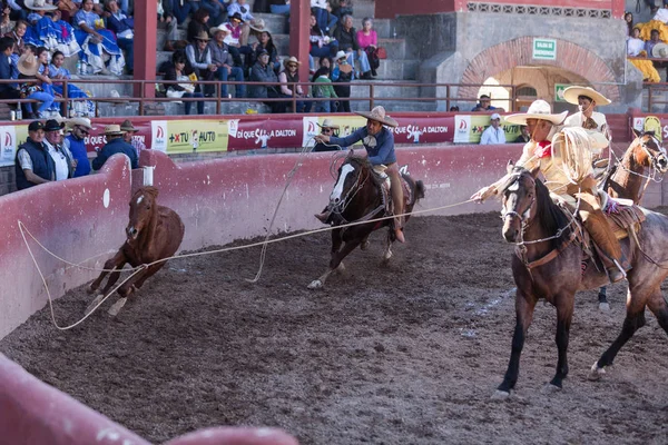 Mexikanisches Rodeo Oder Charreada — Stockfoto