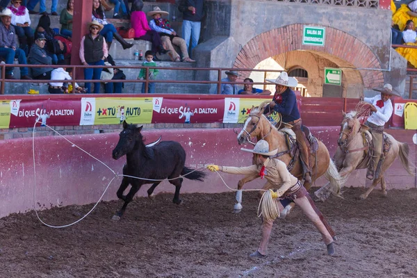 Rodeo Mexicano Chareada —  Fotos de Stock