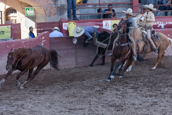 Meksykański Rodeo Lub Charreada — Zdjęcie stockowe