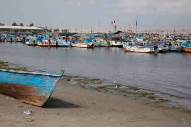 Pisco Limanı, Peru