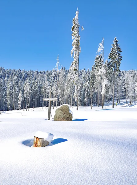 Invierno en el bosque bavariano, Alemania — Foto de Stock