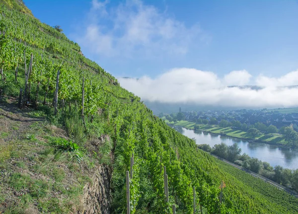 Valwigerberg, Mosel Valley, Mosel River, Renania-Palatinado, Alemania — Foto de Stock