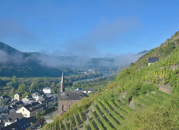 Vin byn Valwig, Moseldalen, Mosel-floden, Rheinland-Pfalz, Tyskland — Stockfoto