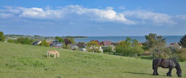 Ruegen Island,baltic Sea,Mecklenburg western Pomerania,Germany clipart