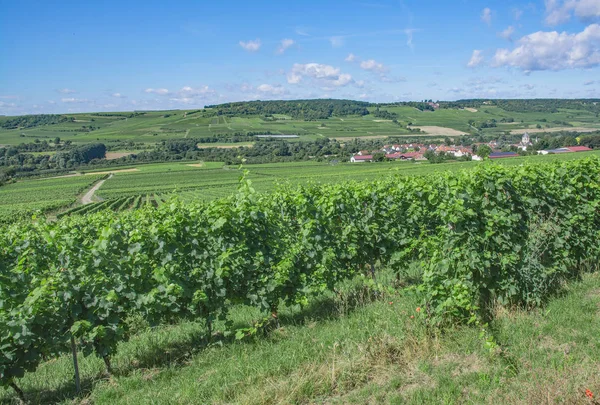 Grosswinternheim, Rhinehessen, Renania-Palatinado, Alemania — Foto de Stock