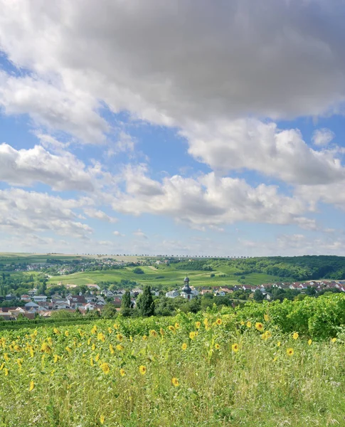 Wine Village, Jugenheim, Rhénanie-Hesse, Allemagne — Photo