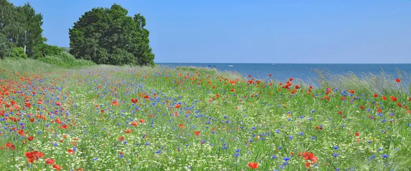 Ruegen ostrov, Baltské moře, Mecklenburg západní Pomořansko, Německo — Stock fotografie