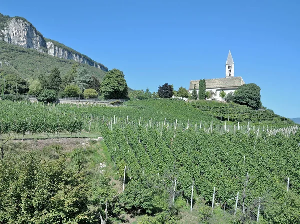 Kurtatsch, Sydtyrolen, Italien — Stockfoto