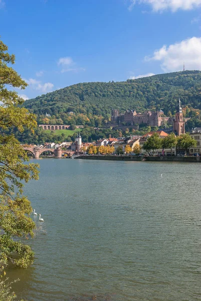 Heidelberg, Neckar River, Baden-Wuerttemberg, Alemanha — Fotografia de Stock