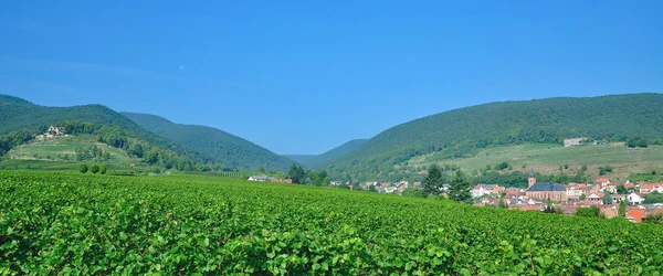 Wine Village Sankt Martin Palatinate Wine Region Germany — 스톡 사진