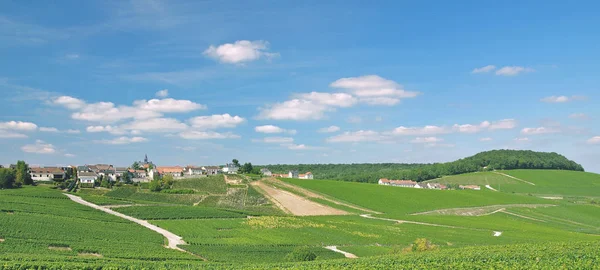 Byn av Cramant, Champagne-regionen, Frankrike — Stockfoto