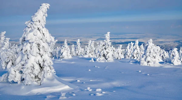 Brocken Mountain,Harz National Park,Germany — Stock Photo, Image