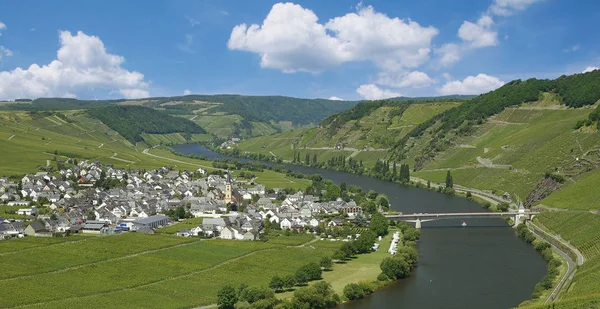 Χωριό Wine Του Trittenheim Στον Ποταμό Mosel Στην Κοιλάδα Mosel — Φωτογραφία Αρχείου