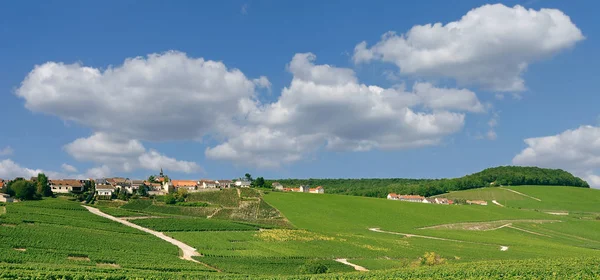 Wine Village Cramant Epernay Champagne Region France — 스톡 사진