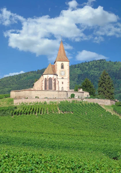 Eglise Dans Vignoble Hunawihr Grand Est Ancienne Alsace France — Photo