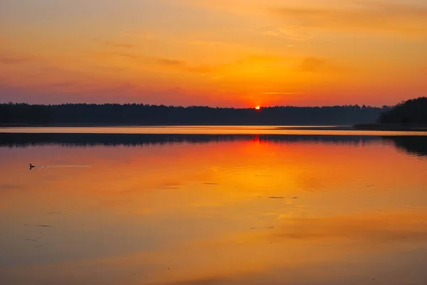 Akşam Almanya Nın Brandenburg Uckermark Bölgesindeki Faehrsee Gölü Nde — Stok fotoğraf
