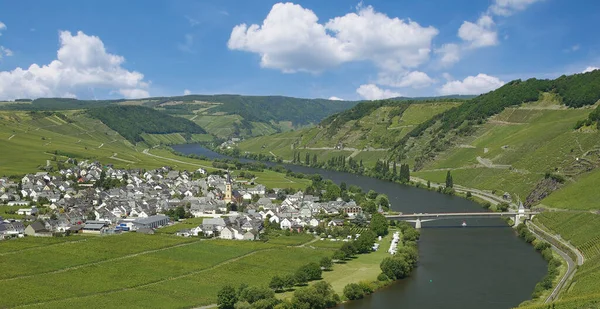 Wine Village Trittenheim Sungai Mosel Mosel Valley Rhineland Palatinate Jerman — Stok Foto