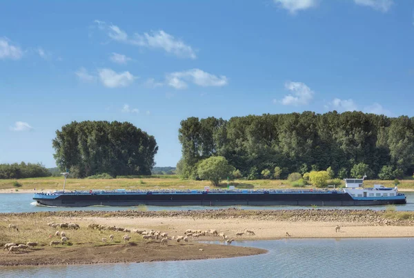 Waterweg Rijn Rijnland Duitsland — Stockfoto