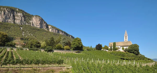 Kurtatsch Perto Tramin Tirol Sul Trentino Italia — Fotografia de Stock