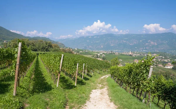 Wijndorp Eppan Der Weinstrasse Appiano Zuid Tirol Trentino Italië — Stockfoto