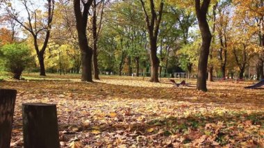 Koşucular birlikte sonbahar güneşte Parkı'nda çalışma dışarı jogging