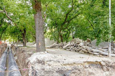 Yaprak döken Park site oluşturma göster