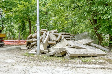 Kazık ağaçlar yaprak döken Park çevresinde