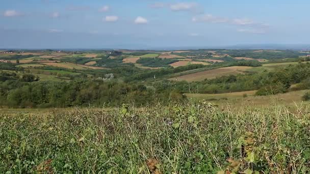 Herbe sur paysage vallonné — Video