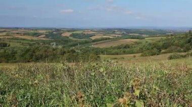 Tepelik peyzaj çim