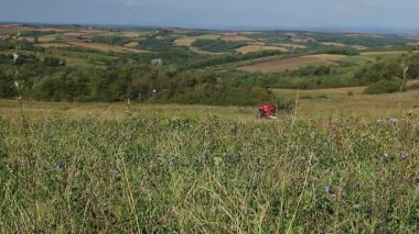 Tarımsal faaliyete görüntülemek.