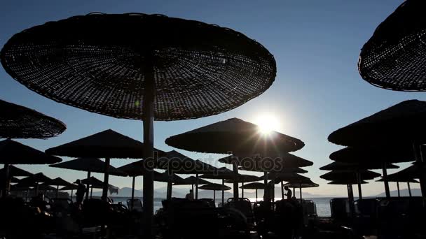Vue en silhouette de parasols au toit de chaume avec chaises longues à côté du littoral — Video