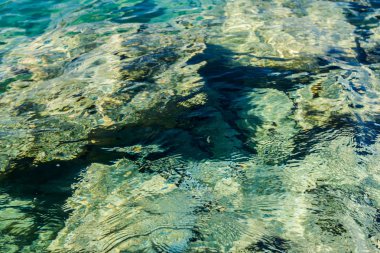 Güzel sığ deniz, kristal berraklığında su ile defne 