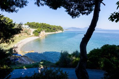 Defne yalak yeşil bitki örtüsü, çam ağacı göster