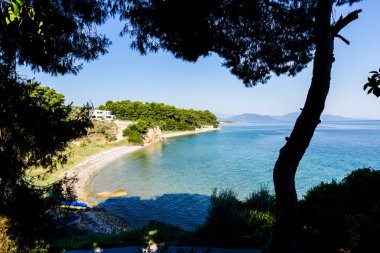 Defne yalak yeşil bitki örtüsü, çam ağacı göster