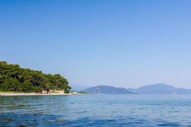 Yeşil bitki örtüsü, çam ağacı ile ada deniz kıyısı