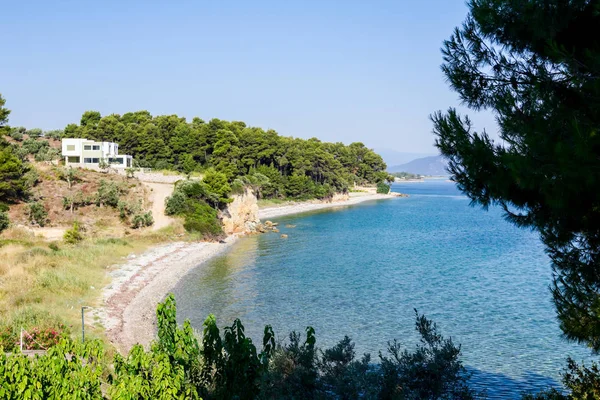 Defne yalak yeşil bitki örtüsü, çam ağacı göster