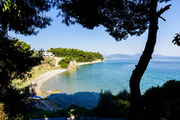 Defne yalak yeşil bitki örtüsü, çam ağacı göster