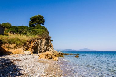 Tek çam ağacı erozyona uğramış bir uçurumun üstünde duruyor