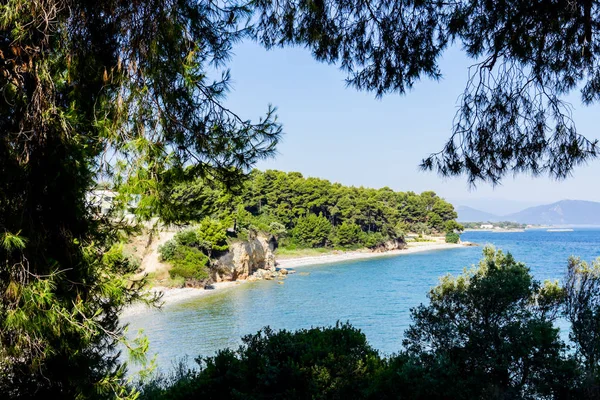 Defne yalak yeşil bitki örtüsü, çam ağacı göster