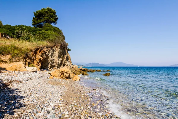 Tek çam ağacı erozyona uğramış bir uçurumun üstünde duruyor