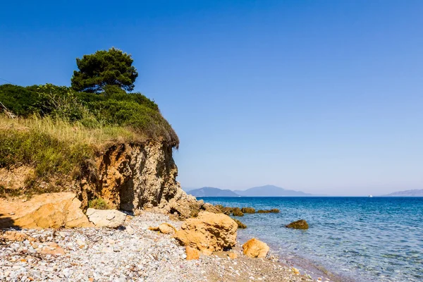 stock image Single pine tree is standing on the top of an eroded cliff