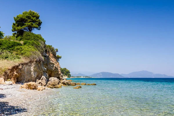 Tek çam ağacı erozyona uğramış bir uçurumun üstünde duruyor