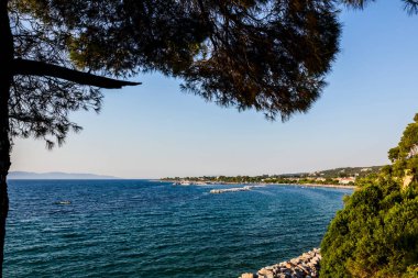 Manzara bir yoğun ve Denizi defne, çam çevresinde çeşitli bitki örtüsü