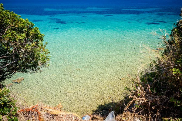 Hermoso mar poco profundo con vegetación alrededor de la bahía, pinos — Foto de Stock