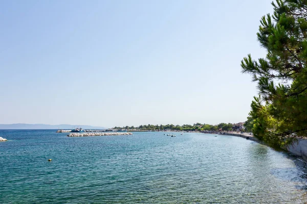 Defne yalak çam ağacı, yapay resif görüntülemek 