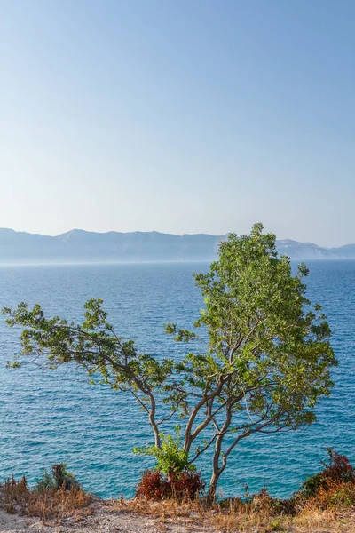 Açık deniz ve adalar arka planda Körfezi manzara