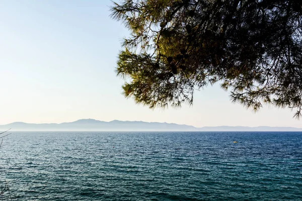 Uzakta seashore siluet Adaları