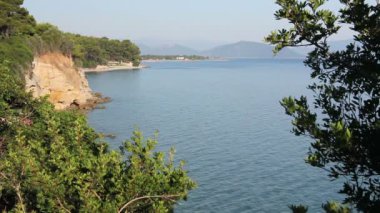 Defne yalak yeşil bitki örtüsü, çam ağacı göster