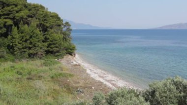 Yeşil bitki örtüsü, çam ağacı ile ada deniz kıyısı