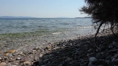 Kayalık plaj çam ağacı gölgesi
